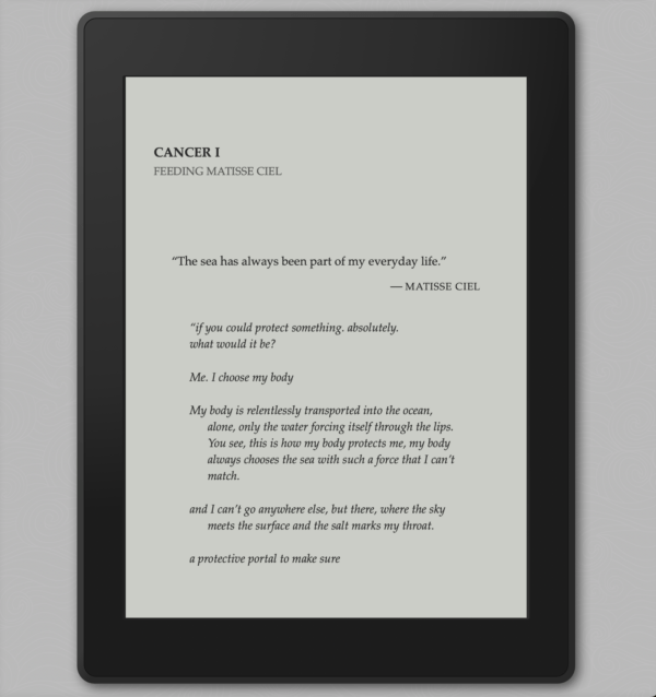 The IC: An Astrology of Coming Home - 2nd Edition (Print & Ebook Bundle) - Image 11